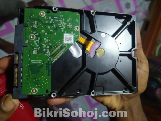 Hard Drive